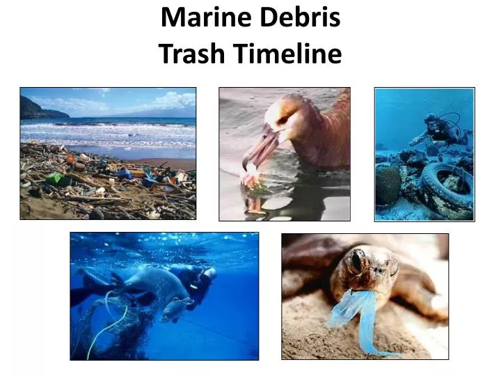 marine debris trash timeline