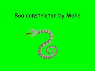 Boa constrictor by Malia