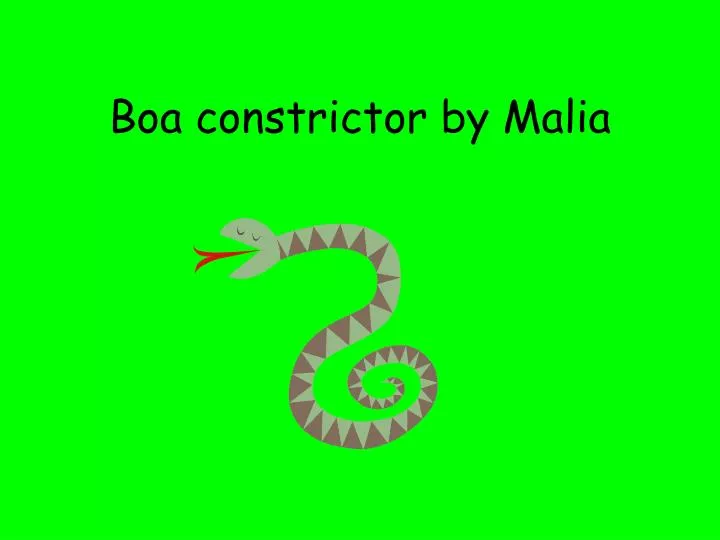 boa constrictor by malia