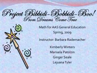 Project Bibbidi - Bobbidi -Boo!