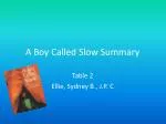 A Boy Called Slow Summary - slide 1