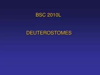 BSC 2010L DEUTEROSTOMES