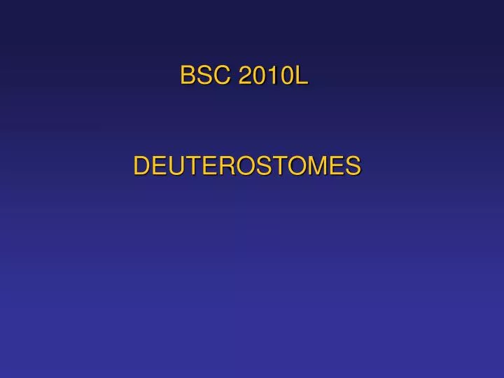 bsc 2010l deuterostomes