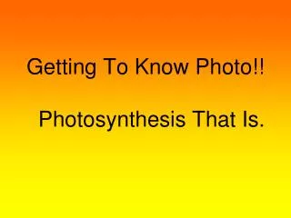 Getting To Know Photo!! Photosynthesis That Is.