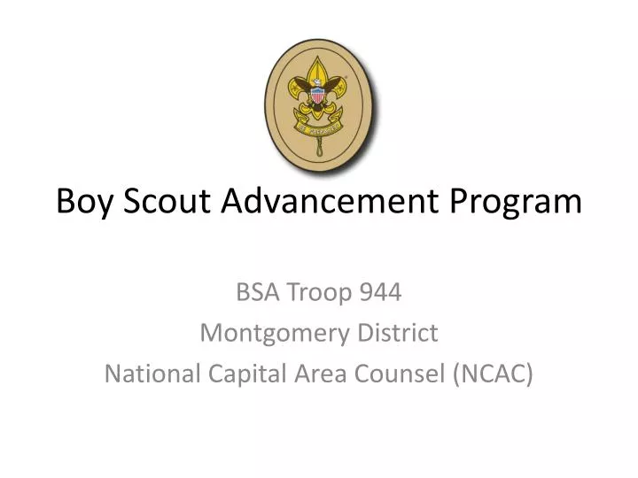 boy scout advancement program