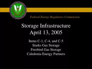 Storage Infrastructure April 13, 2005