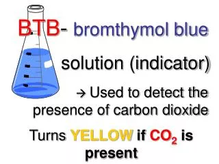 BTB - bromthymol blue solution (indicator)