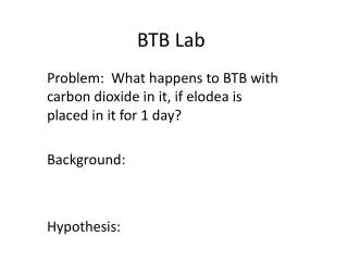 BTB Lab