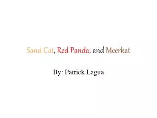 Sand Cat , Red Panda , and Meerkat