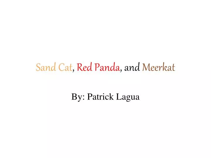 sand cat red panda and meerkat
