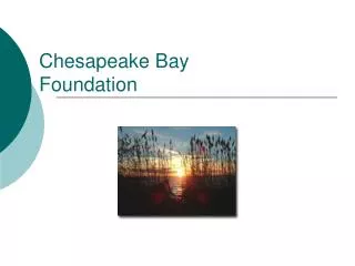 Chesapeake Bay Foundation