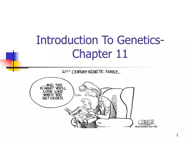 introduction to genetics chapter 11