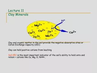 Lecture 11 Clay Minerals
