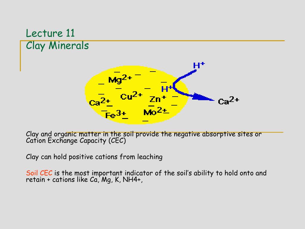 PPT - Lecture 11 Clay Minerals PowerPoint Presentation, free download ...