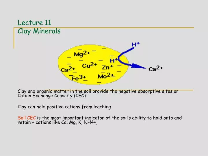 lecture 11 clay minerals