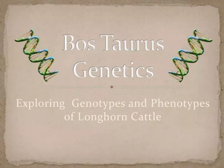 bos taurus genetics