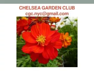 CHELSEA GARDEN CLUB cgc.nyc@gmail