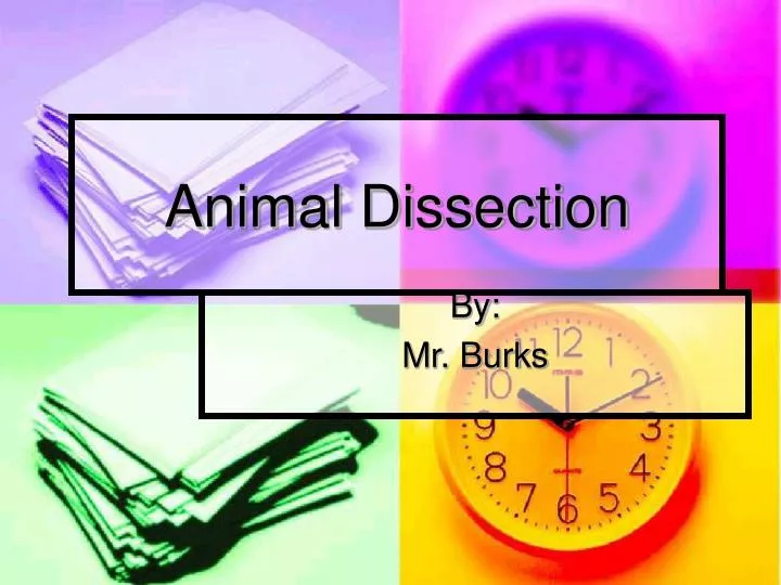 animal dissection