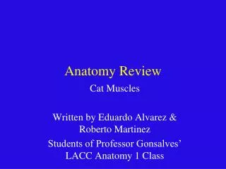 Anatomy Review
