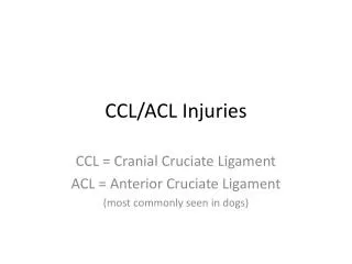 CCL/ACL Injuries