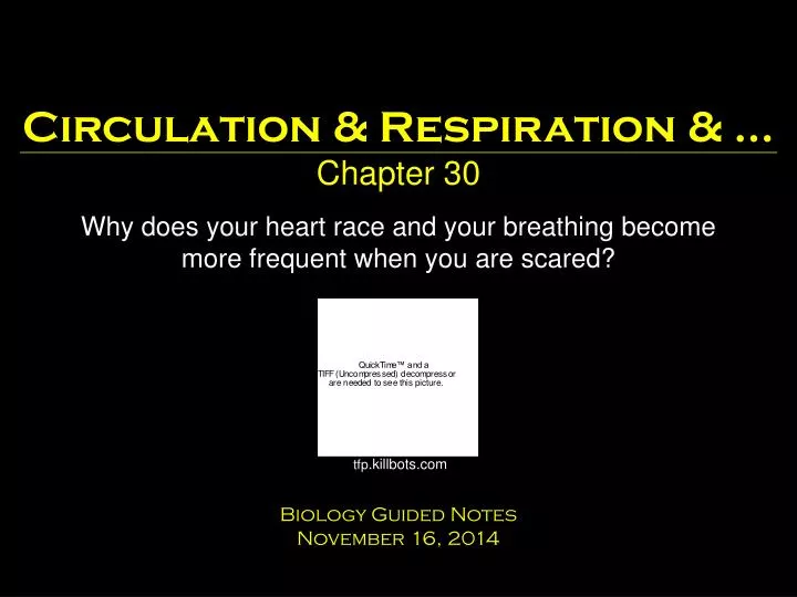 circulation respiration chapter 30
