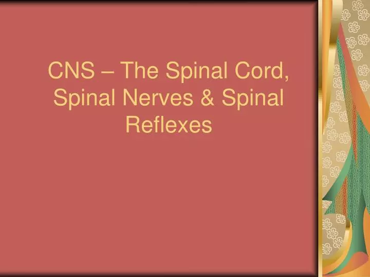 cns the spinal cord spinal nerves spinal reflexes