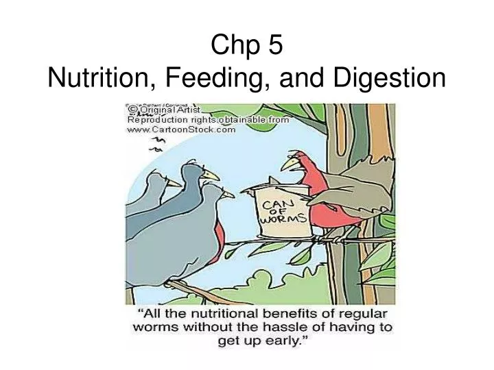 chp 5 nutrition feeding and digestion