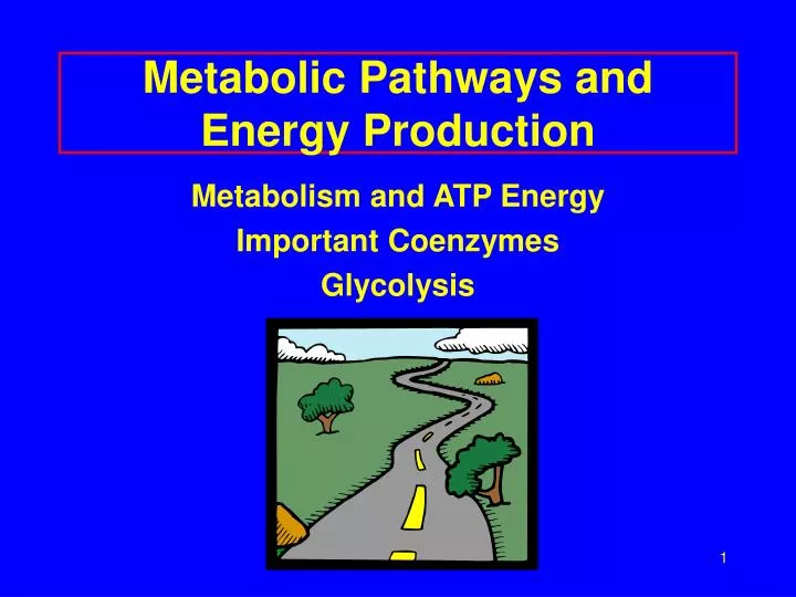metabolic pathways and energy production