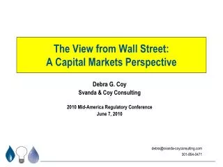 The View from Wall Street: A Capital Markets Perspective