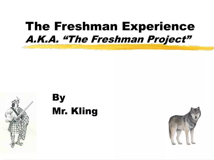 the freshman experience a k a the freshman project