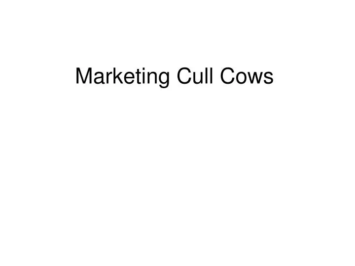 marketing cull cows