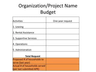 Organization/Project Name Budget
