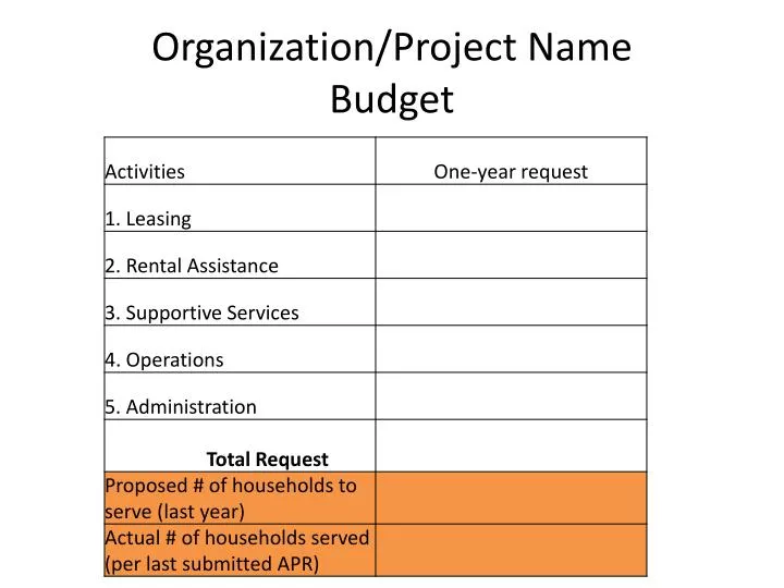 organization project name budget