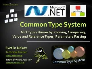 Common Type System