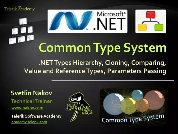 common type system