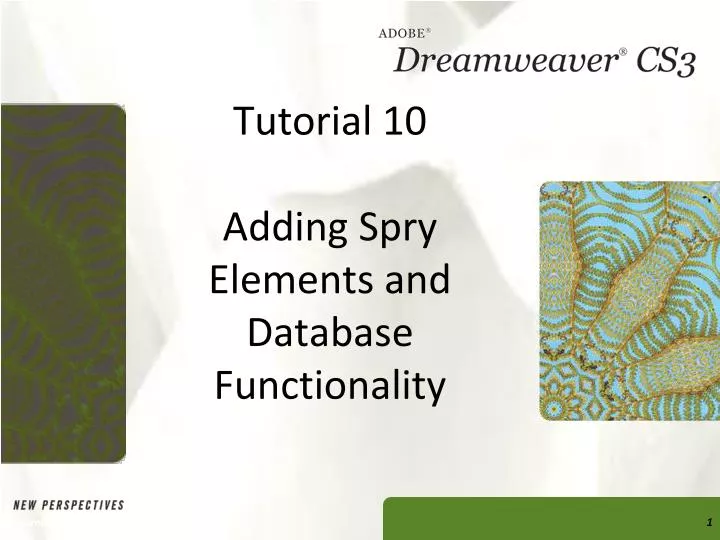 tutorial 10 adding spry elements and database functionality