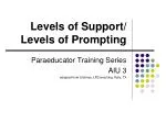 Levels of Support/ Levels of Prompting