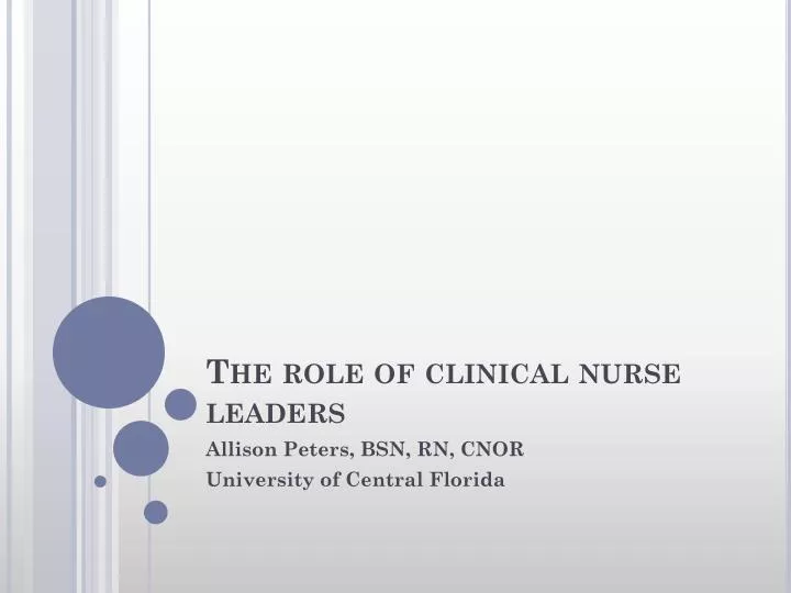 the role of clinical nurse leaders