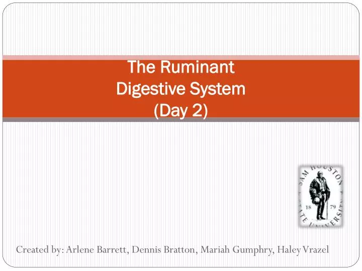 the ruminant digestive system day 2