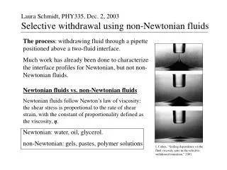 Laura Schmidt, PHY335, Dec. 2, 2003 Selective withdrawal using non-Newtonian fluids