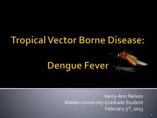 Tropical Vector Borne Disease: Dengue Fever