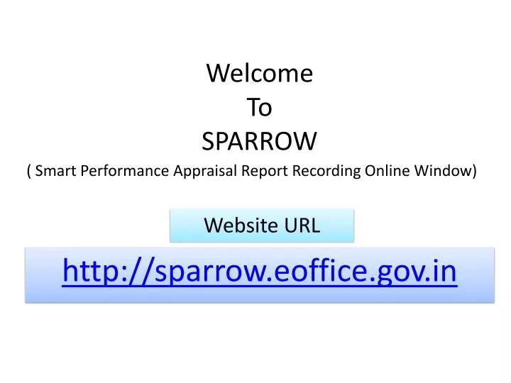 welcome to sparrow