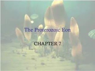 The Proterozoic Eon