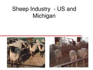 Sheep Industry - US and Michigan