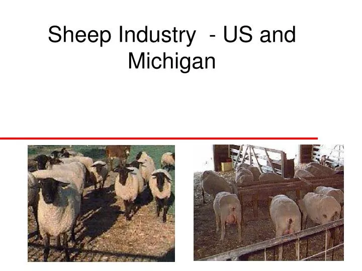 sheep industry us and michigan