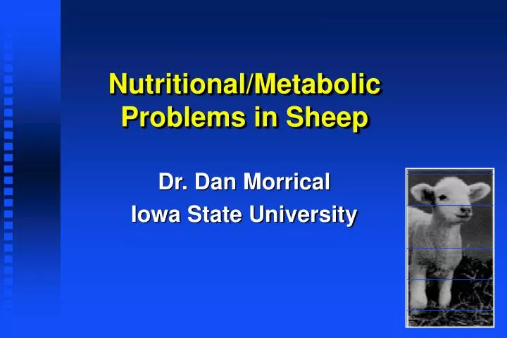 nutritional metabolic problems in sheep