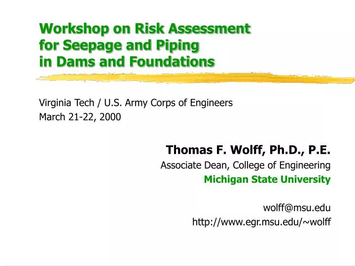 workshop on risk assessment for seepage and piping in dams and foundations