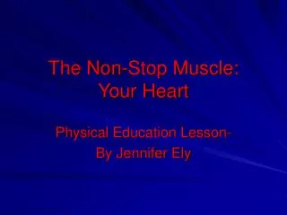 The Non-Stop Muscle: Your Heart