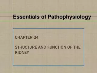 chapter 24 structure and function of the kidney
