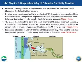 I-IV: Physics &amp; Biogeochemistry of Estuarine Turbidity Maxima